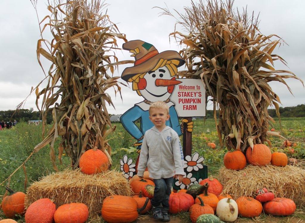 Pumpkin Picking 2012