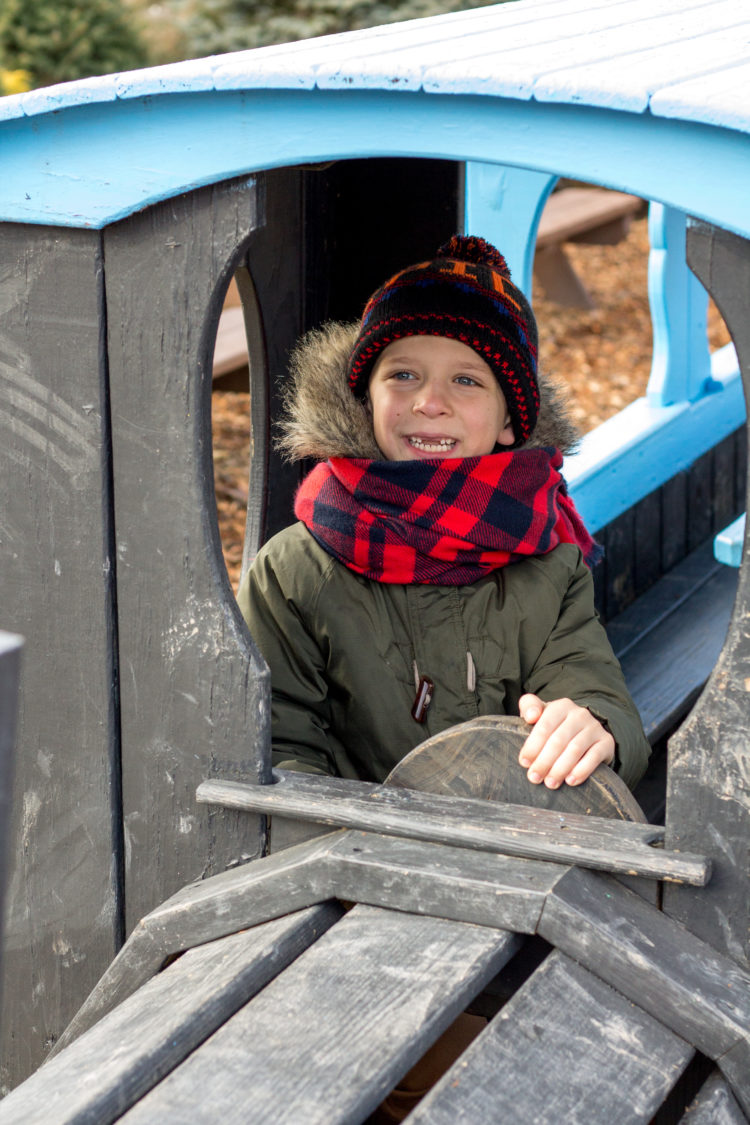 Finding the Perfect Christmas Tree Cut Your Own Christmas Tree in New